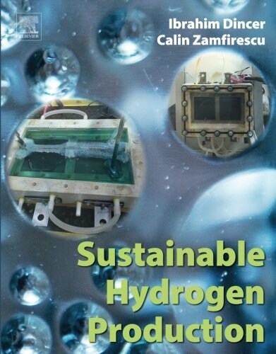 Sustainable Hydrogen Production (Paperback)