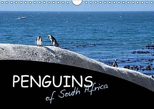 Penguins of South Africa 2017 : African Penguins in their natural habitat (Calendar)