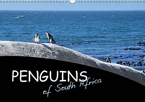 Penguins of South Africa 2017 : African Penguins in their natural habitat (Calendar)