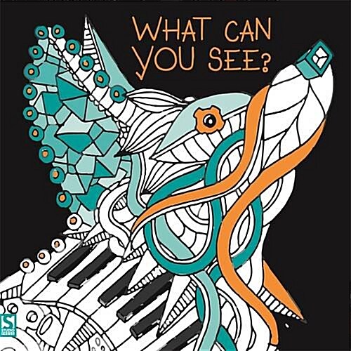 What Can You See? : Hidden picture puzzles to decode and colour. (Paperback)