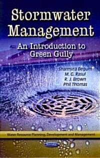 Stormwater Management (Paperback, UK)