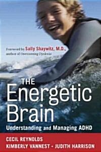 The Energetic Brain (Paperback)