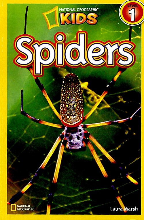 [중고] Spiders (Paperback)