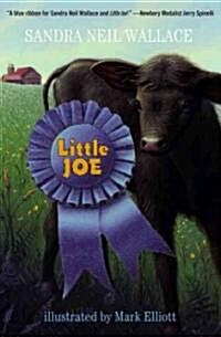Little Joe (Paperback)