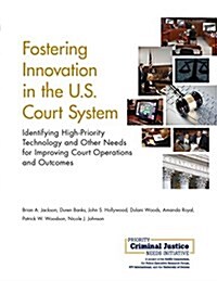 Fostering Innovation in the U.S. Court System: Identifying High-Priority Technology and Other Needs for Improving Court Operations and Outcomes (Paperback)