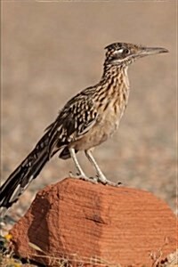 New Mexico State Bird - Roadrunner Journal: 150 Page Lined Notebook/Diary (Paperback)