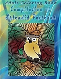 Adult Coloring Book Compilation of Splendid Patterns: Mandala Coloring Book (Paperback)