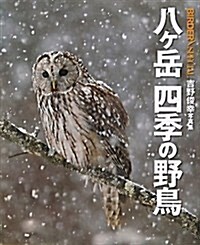 八ヶ嶽四季の野鳥―吉野俊幸寫眞集 (BIRDERスペシャル) (大型本)