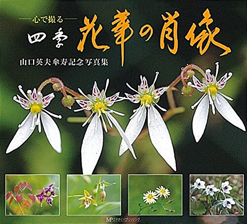 心で撮る四季  花華の肖像 (單行本(ソフトカバ-))