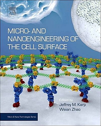 Micro- and Nanoengineering of the Cell Surface (Paperback)