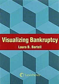 Visualizing Bankruptcy (Paperback)