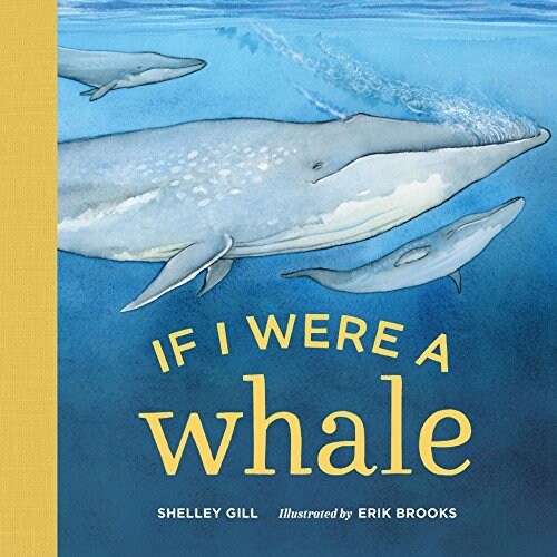 If I Were a Whale (Board Books)