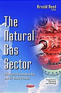 The Natural Gas Sector (Paperback)