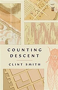 Counting Descent (Paperback)