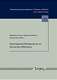 International Perspectives on University Efficiency (Paperback)