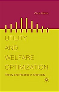 Utility and Welfare Optimization : Theory and Practice in Electricity (Paperback)