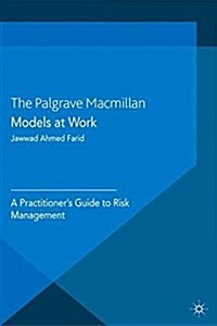 Models at Work : A Practitioners Guide to Risk Management (Paperback)