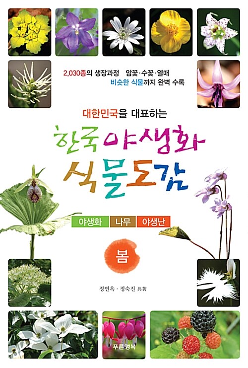 한국 야생화 식물도감 봄