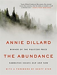 The Abundance: Narrative Essays Old and New (Paperback)