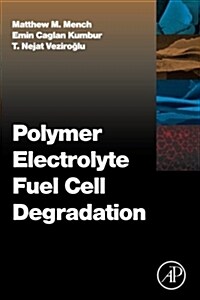 Polymer Electrolyte Fuel Cell Degradation (Paperback)