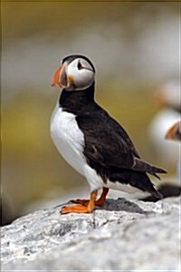 Puffin on a Rock Journal: 150 Page Lined Notebook/Diary (Paperback)