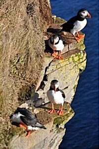 Puffins in Iceland Journal: 150 Page Lined Notebook/Diary (Paperback)