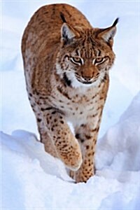 Lynx in the Snow Journal: 150 Page Lined Notebook/Diary (Paperback)
