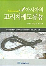 아시아의 꼬리치레도롱뇽