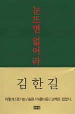 눈뜨면 없어라:김한길 스물아홉의 日記