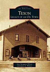 Texon: Legacy of an Oil Town (Paperback)