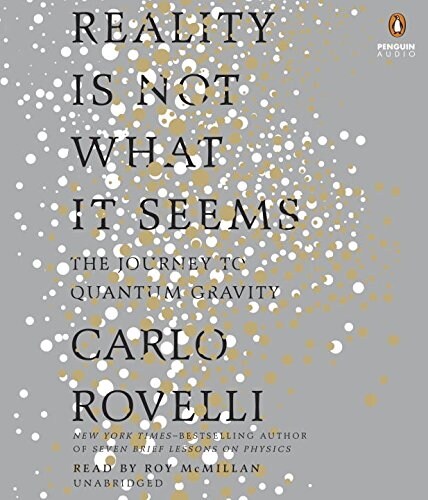 Reality Is Not What It Seems: The Journey to Quantum Gravity (Audio CD)