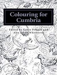 Colouring for Cumbria: Raising Money for People Affected by the Floods in Cumbria and Northern England. (Paperback)
