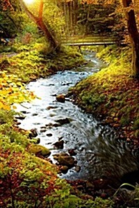 Cold Stream Running Through a Park: Blank 150 Page Lined Journal for Your Thoughts, Ideas, and Inspiration (Paperback)