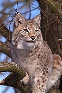Lynx in a Tree Journal: 150 Page Lined Notebook/Diary (Paperback)