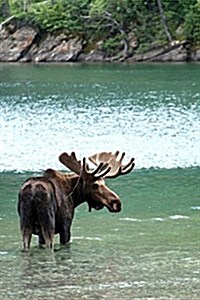 Moose in a Lake Journal: 150 Page Lined Notebook/Diary (Paperback)