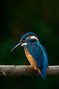 Kingfisher Journal: 150 Page Lined Notebook/Diary (Paperback)