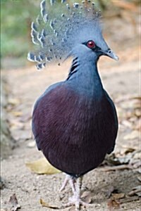 Victoria Crowned Pigeon Journal: 150 Page Lined Notebook/Diary (Paperback)