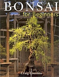 Bonsai for Beginners (Paperback)