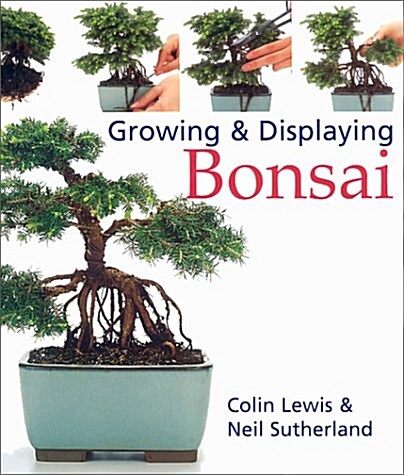 A Practical Step-By-Step Guide to Growing and Displaying Bonsai (Hardcover)