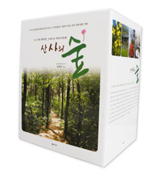 산사의 숲, 바람에 물들다