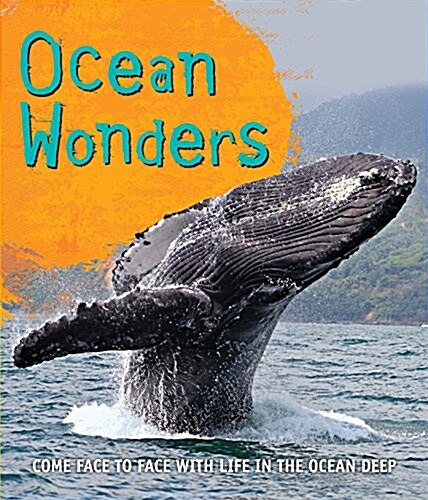 Fast Facts! Ocean Wonders (Paperback, Main Market Ed.)