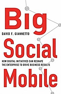Big Social Mobile : How Digital Initiatives Can Reshape the Enterprise and Drive Business Results (Paperback, 1st ed. 2014)