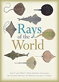 Rays of the World (Hardcover)