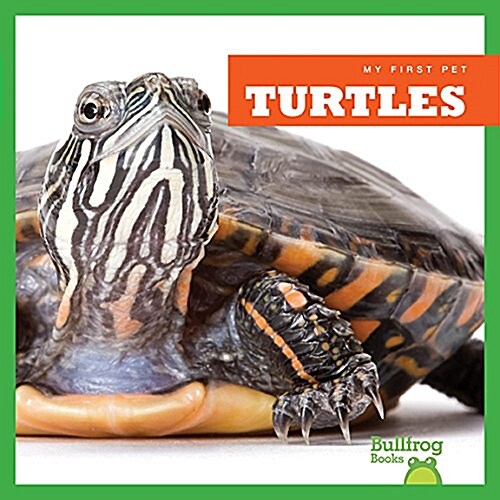 Turtles (Paperback)