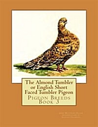 The Almond Tumbler or English Short Faced Tumbler Pigeon: Pigeon Breeds Book 3 (Paperback)
