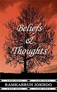 Beliefs and Thoughts (Paperback)