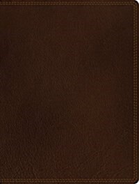 NIV, Journal the Word Bible, Genuine Leather, Brown: Reflect, Journal, or Create Art Next to Your Favorite Verses (Leather, Special)