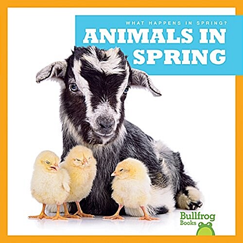 Animals in Spring (Paperback)