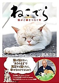 ねこでら 猫がご緣をつなぐ寺 (單行本)