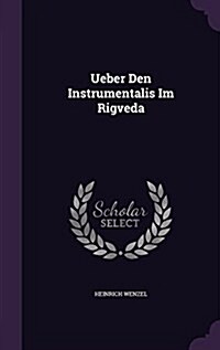 Ueber Den Instrumentalis Im Rigveda (Hardcover)